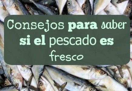 Consejos Para Saber Si El Pescado Es Fresco Ahorradoras