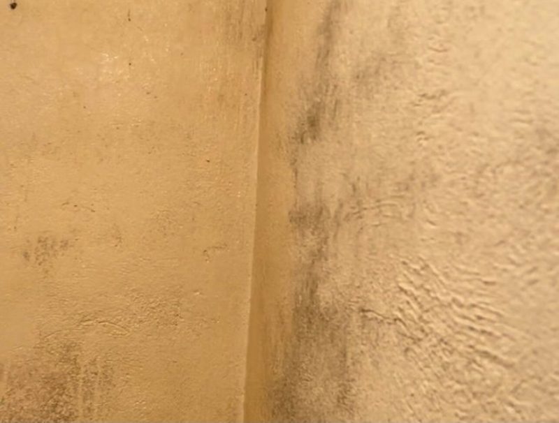 Cómo se quitan las manchas de humedad en la pared?