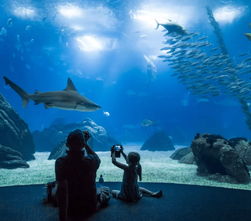 Cupón Descuento para el Oceanário de Lisboa