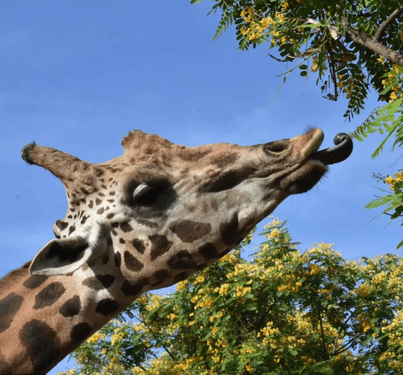 Cupón Descuento para Terra Natura Murcia