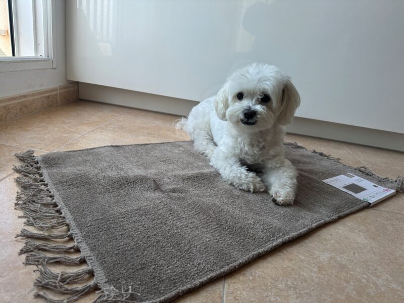 Prueba gratis la alfombra INSPIRE Manoa de Leroy Merlín. Las enviamos a tu casa.