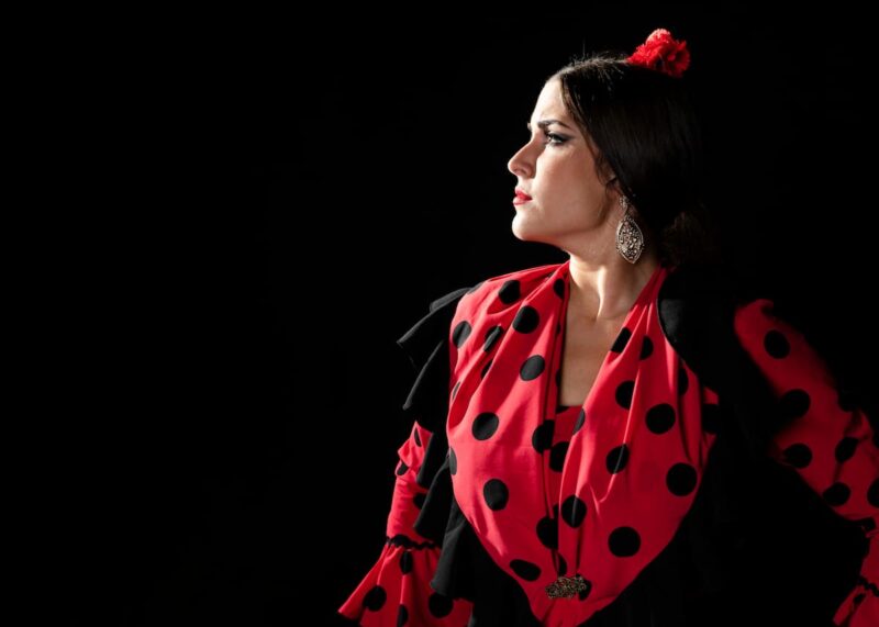 Código descuento Teatro Flamenco Madrid